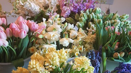 Eliza & Flo, Florist in Workington