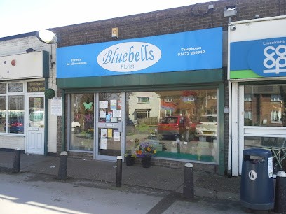 Bluebells Florist, Florist in Grimsby