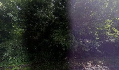 Victoria Flowers, Florist in Birmingham