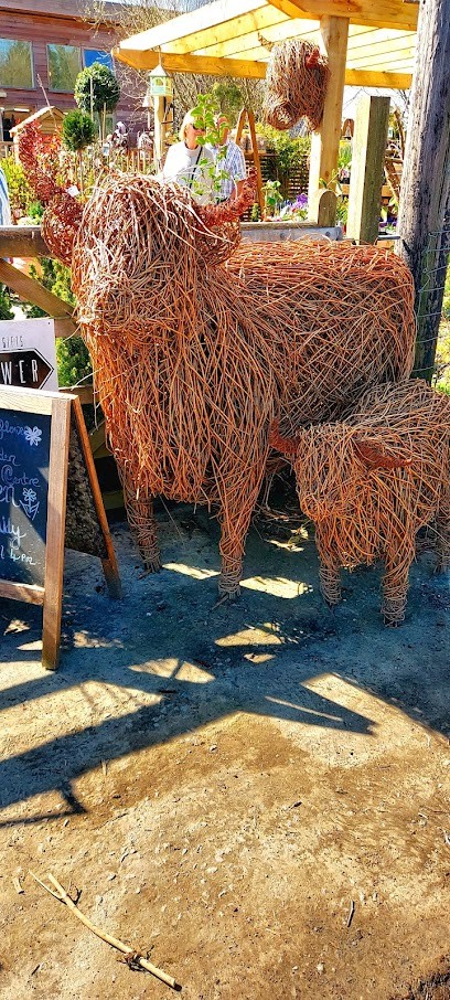 Gower Wildflowers, Florist in Swansea