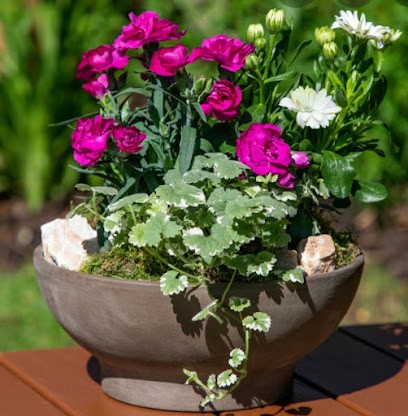 Next Flower Shop, Florist in Manchester