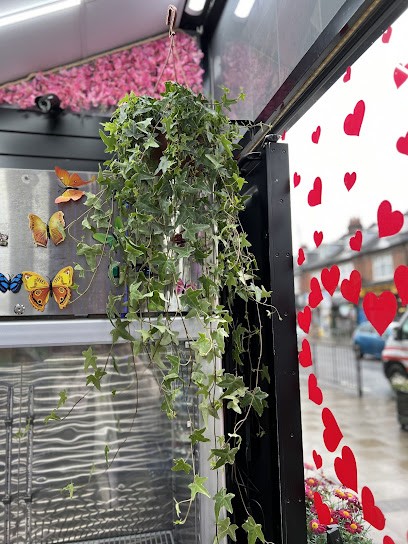 Rafaela Florist, Florist in Watford