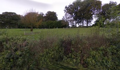 Two Green Ladies, Florist in Downpatrick