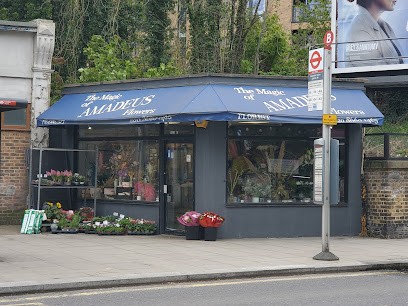Amadeus Florist, Florist in Coulsdon