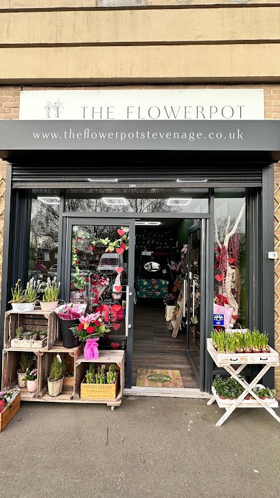 The Flowerpot Stevenage, Florist in Stevenage