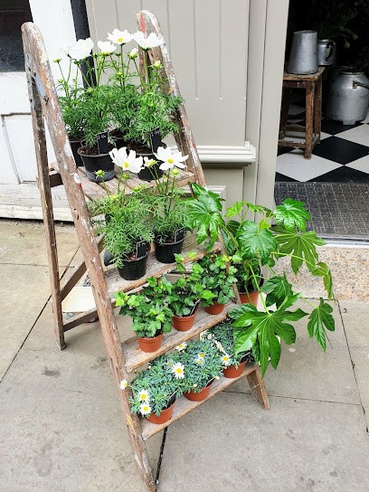 The Wallflower Florist, Florist in Bishop Auckland