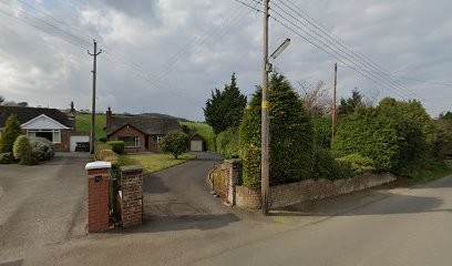Blossom & Twine, Florist in Newtownards