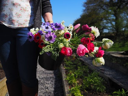 Blue Hill Flora, Florist in Swansea