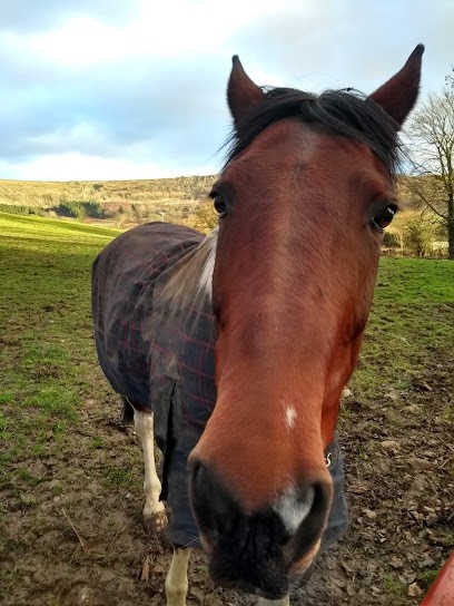 B Y Arrangement, Florist in Thirsk