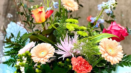 Coleraine Florist, Florist in Coleraine