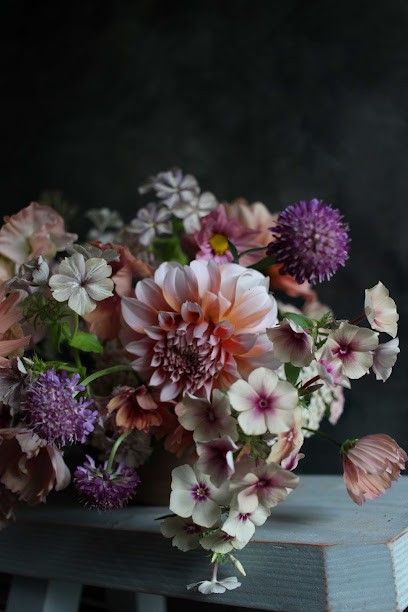 Wildly Beautiful Flowers, Florist in Bristol