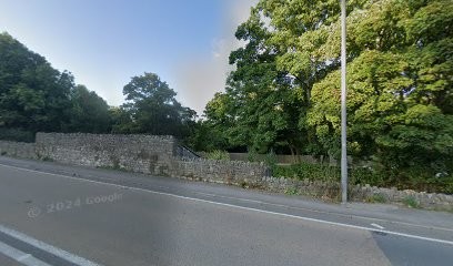 Saltford Flowers, Florist in Bristol