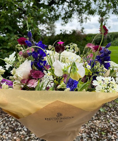 Drumcroone Cut Flower Garden, Florist in Coleraine