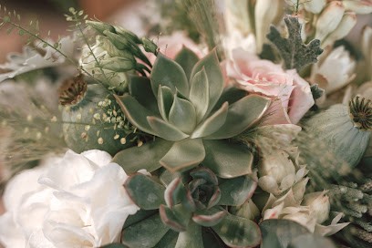 Daisys of Holt, Florist in Holt